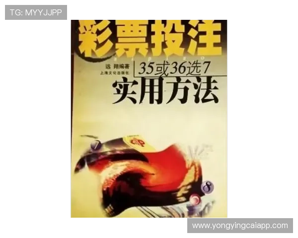 全新彩票平台推荐与投注技巧详解指南