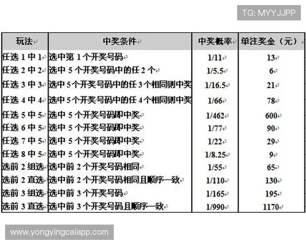 揭秘11选5投注技巧与投注技巧解析，让你轻松提高中奖概率